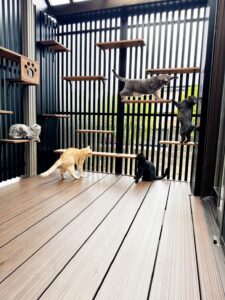西尾市N様邸｜屋外デッキ工事！ネコのくつろぎスペースを作る