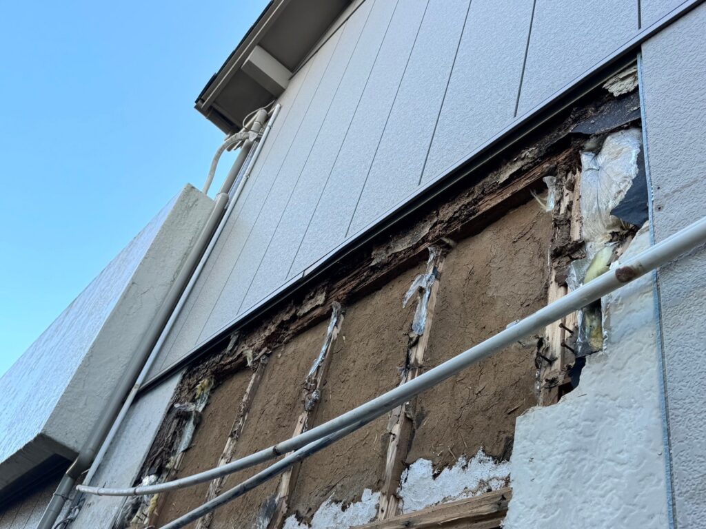解体後に発覚したシロアリ被害の様子